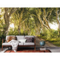 Golden Hedges - Thumbnail View 1