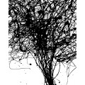 Curls - Thumbnail View 1