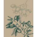 Wild Colombia - Thumbnail View 1