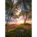 Vertical Paradise - Thumbnail View 1