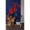 Marvel Spider-Man Spider Web - Thumbnail View 1