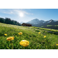 Alpenglück - Thumbnail View 1