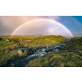 Coloured Faeroer - Thumbnail View 1