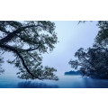 Blue Waters - Thumbnail View 1