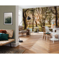 Bold Birch - Thumbnail View 1