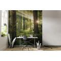 Goblins Woods - Thumbnail View 1