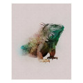 Color Prints  - Thumbnail View 1