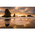 Golden Stacks - Thumbnail View 1