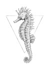 Sea Horse White
