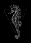 Sea Horse Black