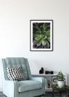 Succulent Single