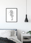 Sea Horse White