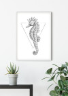 Sea Horse White