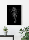 Sea Horse Black