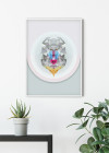 Baboon