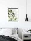 Bamboo Forest