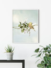 Gazouillis des Oiseaux