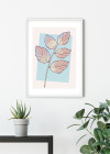 Cinderella Plant