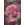 Bouquet - Thumbnail View 1