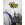 Luke Cage Comic - Thumbnail View 1