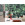 Verdure - Thumbnail View 1