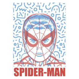 image spiderman de face
