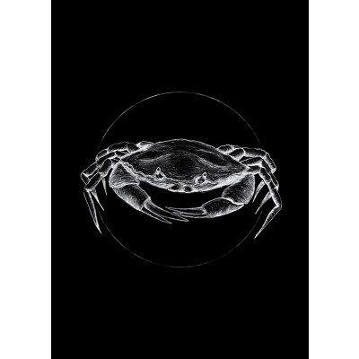 Crab Black