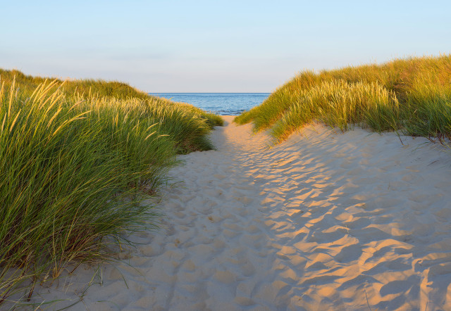Sandy Path - Coastal Dune Serenity | Komar®