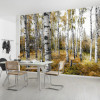 Colorful Aspenwoods - View 1