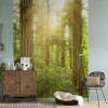 Redwood - View 1