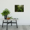 Mystic Birch Grove - View 1