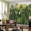 Tulips - View 1