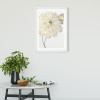 Illustration Dahlia - View 1