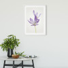 Autumn Crocus - View 1