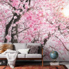 Bloom - View 1