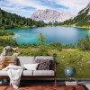 Paradise Lake - View 1