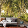 Golden Hedges - View 1