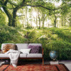 Mystic Path - View 1