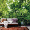 Into the Jungle - View 1