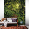 The Path - View 1