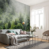 Forest Land - View 1