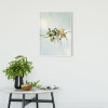 Gazouillis des Oiseaux - View 1