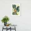 Green-Winged Macaw - View 1