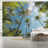 Coconut Heaven 
