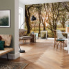 Bold Birch - View 1