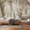 Bleached Birch - View 1