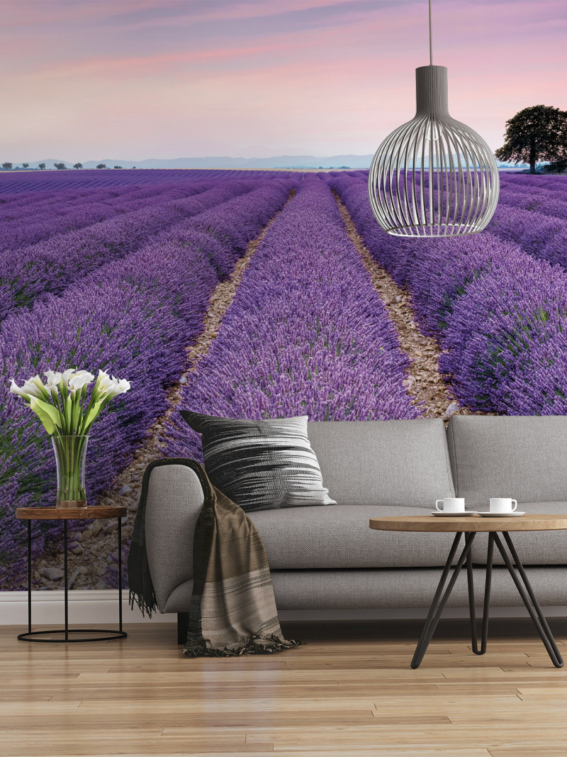 Provence - View 1