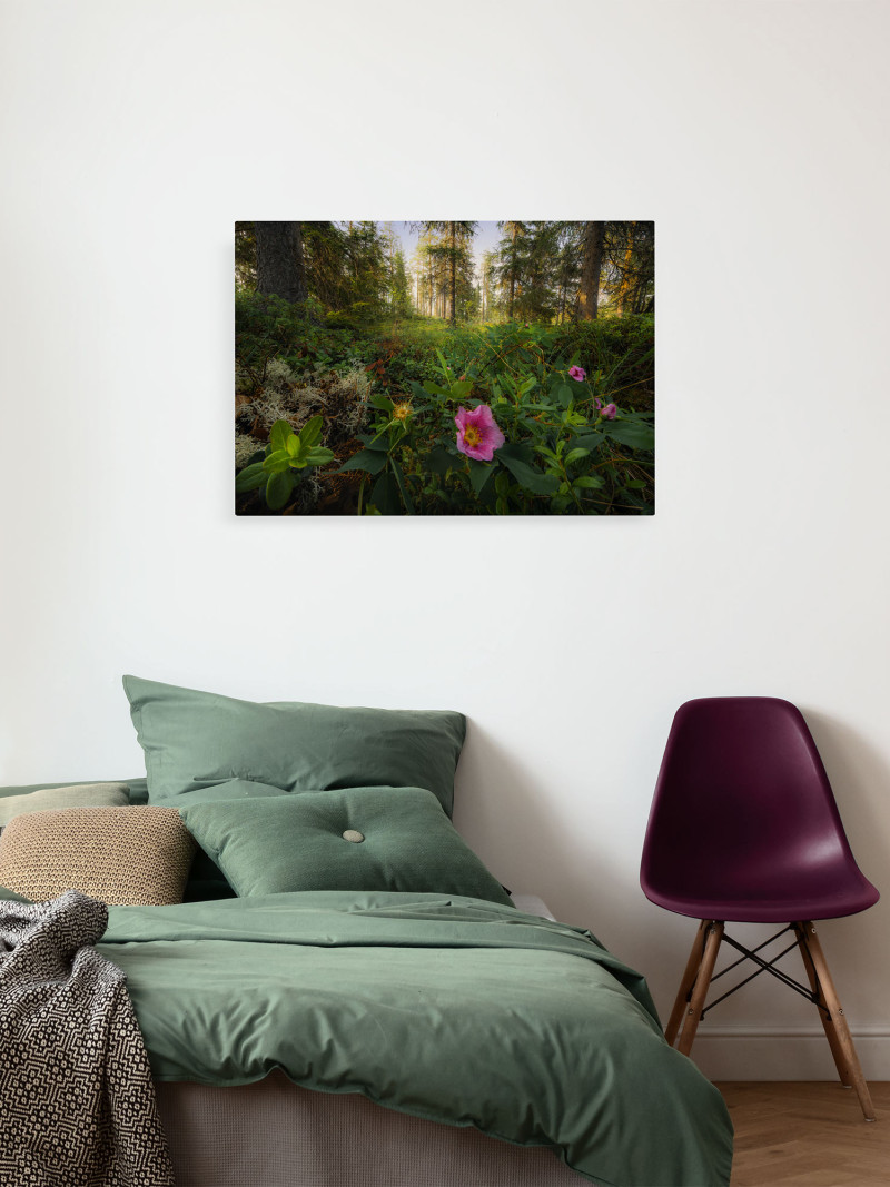 Charming Woods - View 1