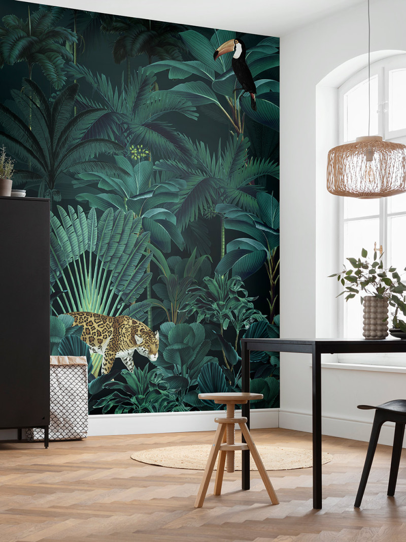 Jungle Night - View 1