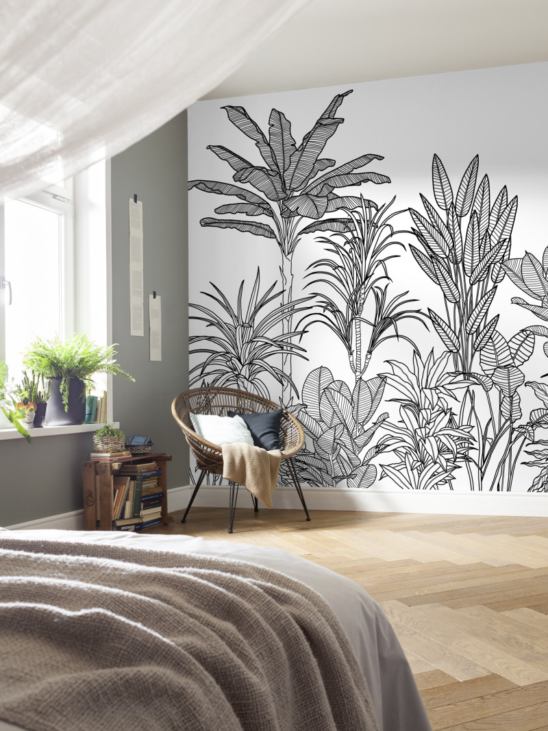 Savanna - View 1